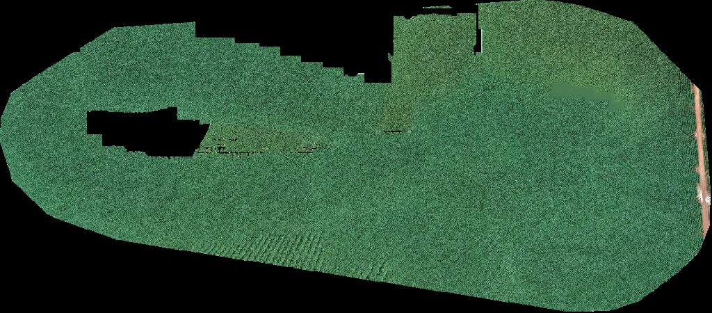 Fazenda Boa Esperança Dois Corregos