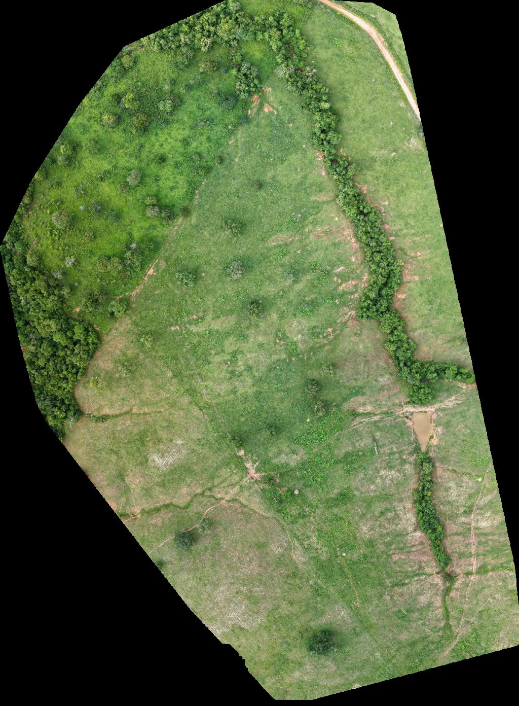 Sítio passaro livre Fazenda Espora de Prata