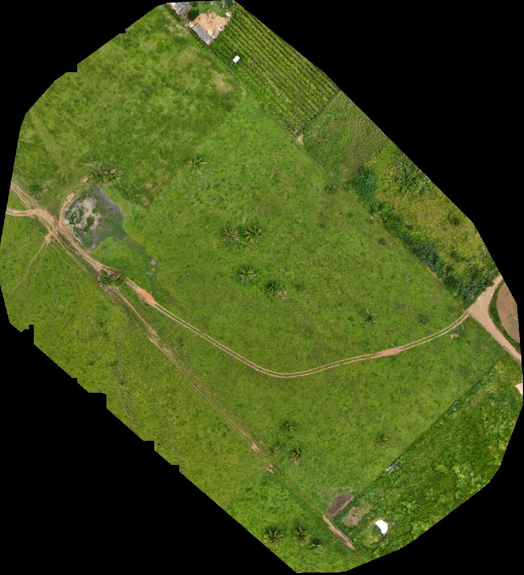 desconhecido Cemitério Municipal