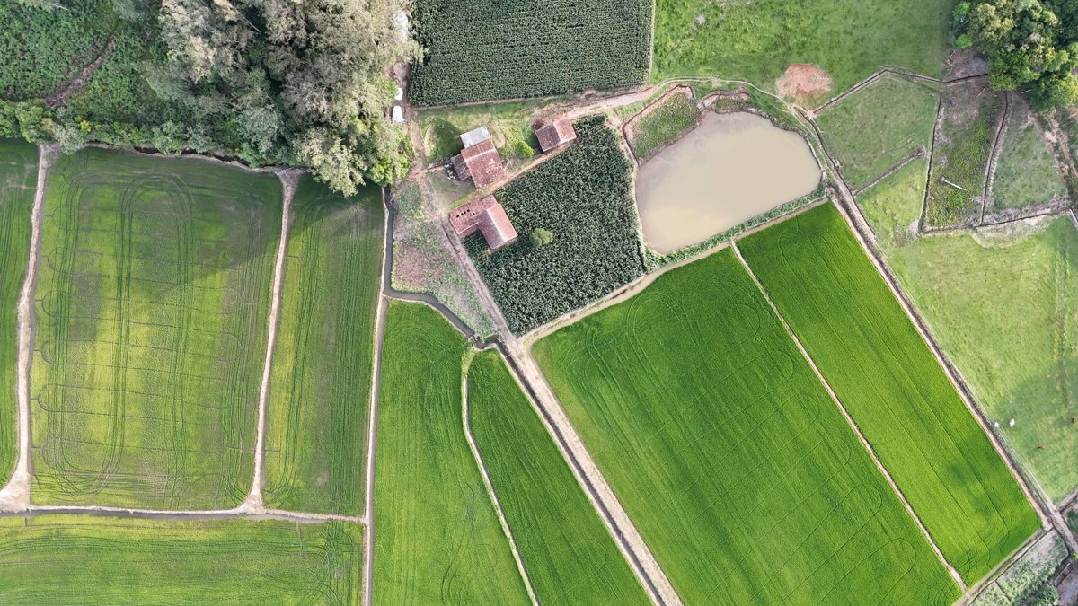 ElberVita Cosméticos Elber