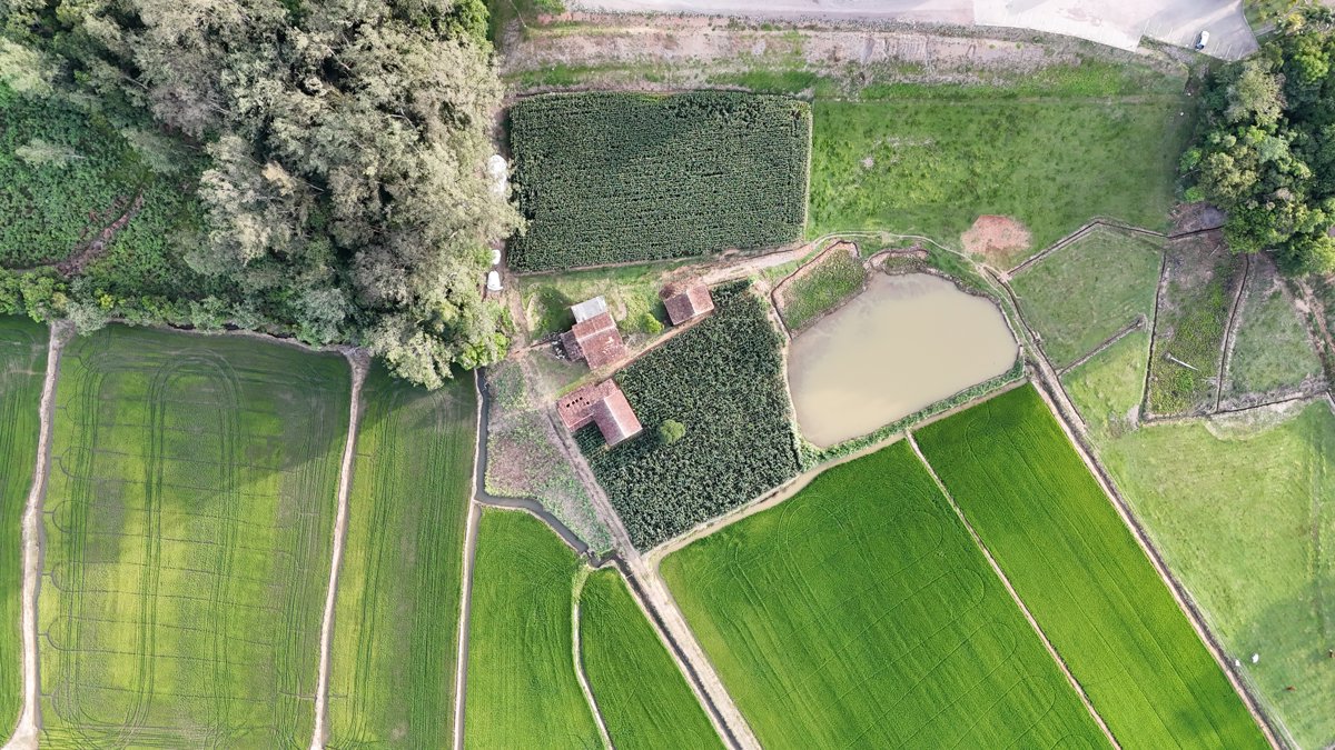 ElberVita Cosméticos Elber