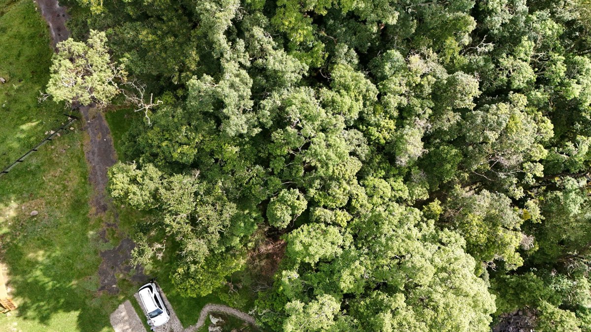 Cascata das Andorinhas Conexao S
