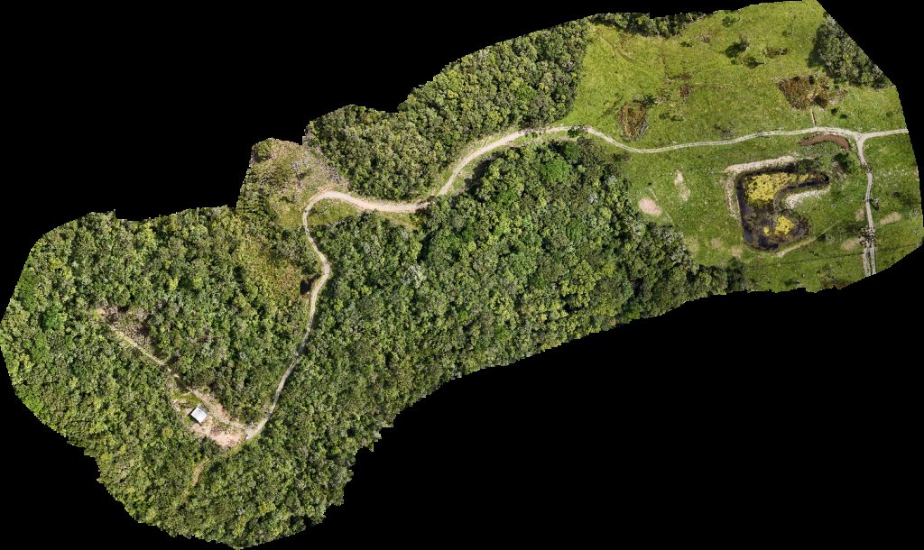 PICOS Trekking Cascata das Andorinhas