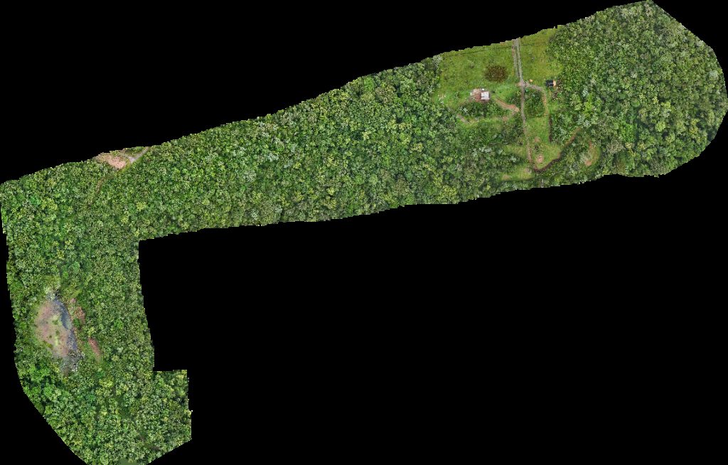 PICOS Trekking Cascata das Andorinhas