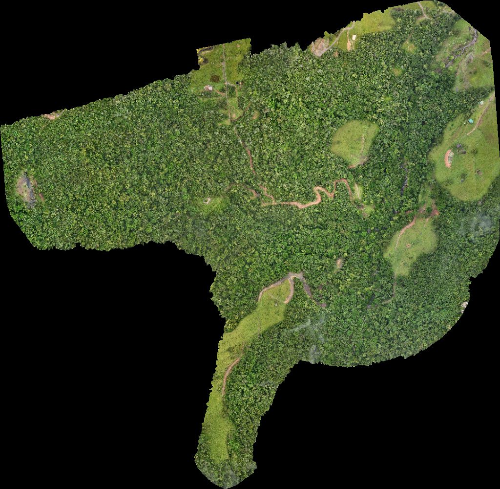 PICOS Trekking Cascata das Andorinhas