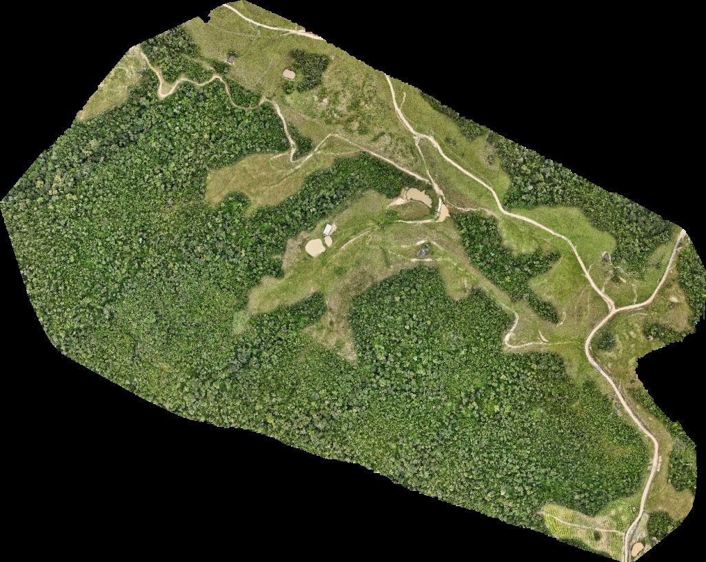 Recanto Das Estrelas From The Espezim Family