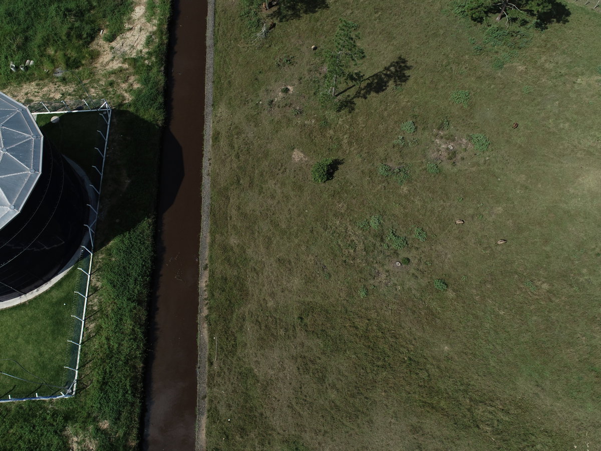 Carioca frete e mudança Sexy Shop Evolution loja Online