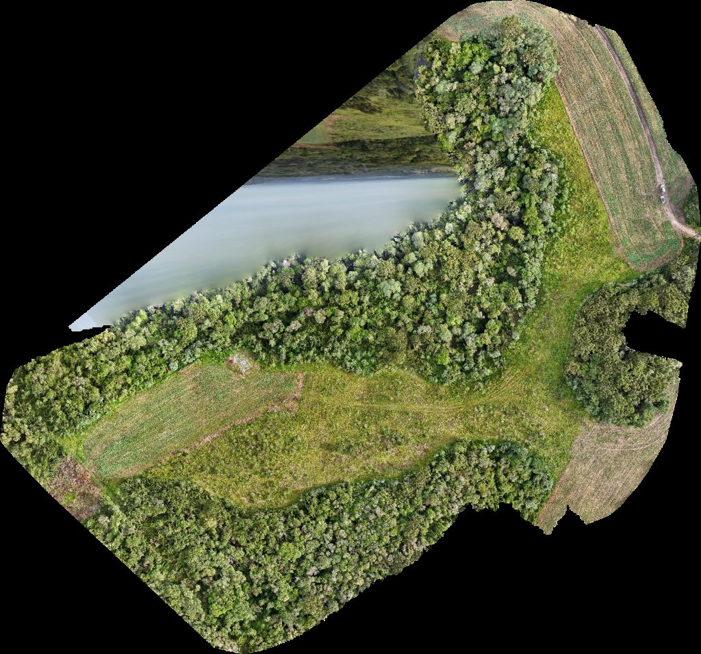 Fazenda Buffalo Sítio Ribeiro