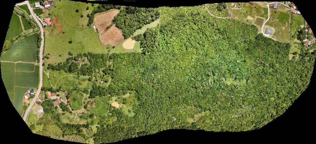 CT Maths racing Canto Bem Te Vi l