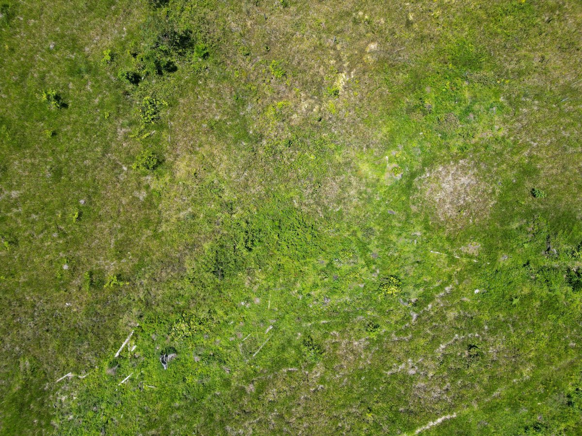 Fazenda Pinheiral CASA MARCELO BUENO