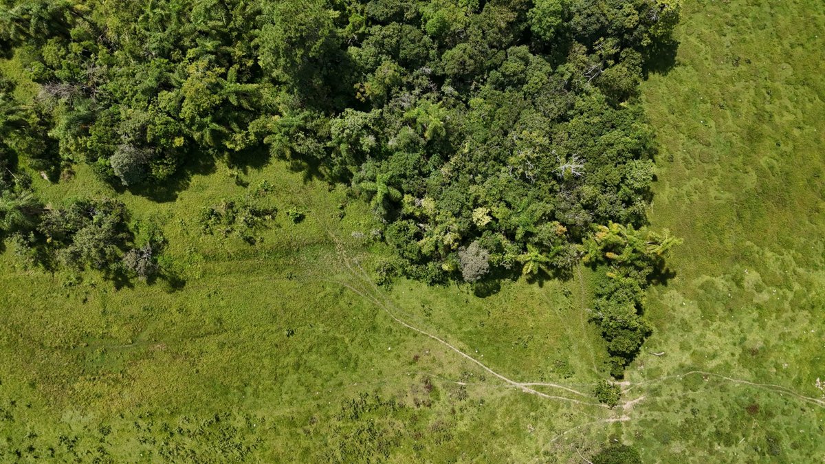 Diamante Mármores e Granitos Poá de Luxo Decor