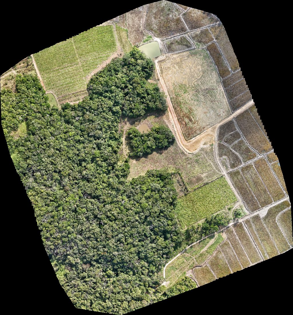 Estética Automotica JC Martelinho de Ouro Esquadrias Longo