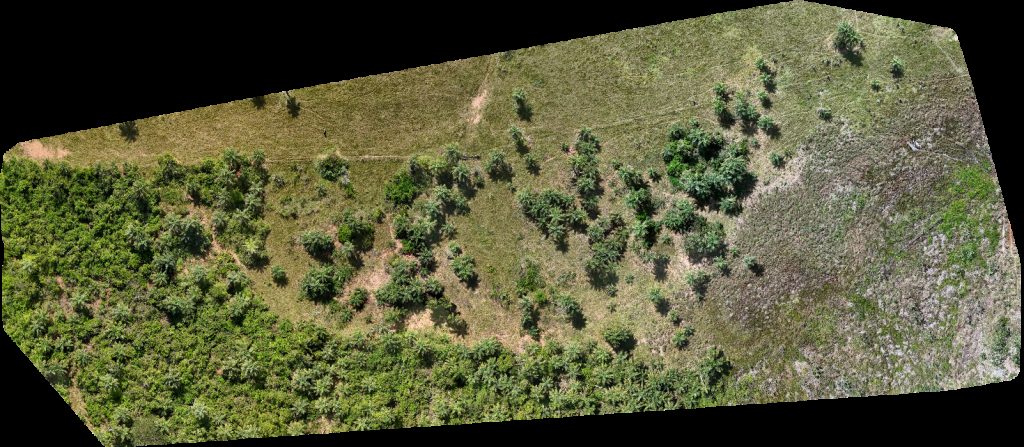 Fazenda Santa Aguirre Sítio dos meus primos