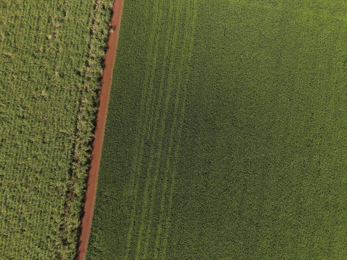 Fazenda Ribeirão Vermelho Fartura