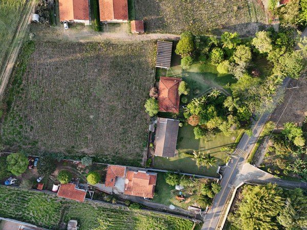 FRUTAS ROSEIRA VIP DETAILS MICRO PINTURA