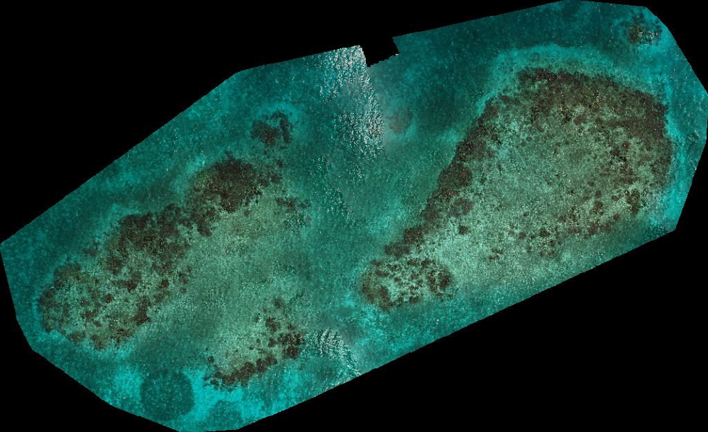 Glover s Reef Research Station Middle Caye