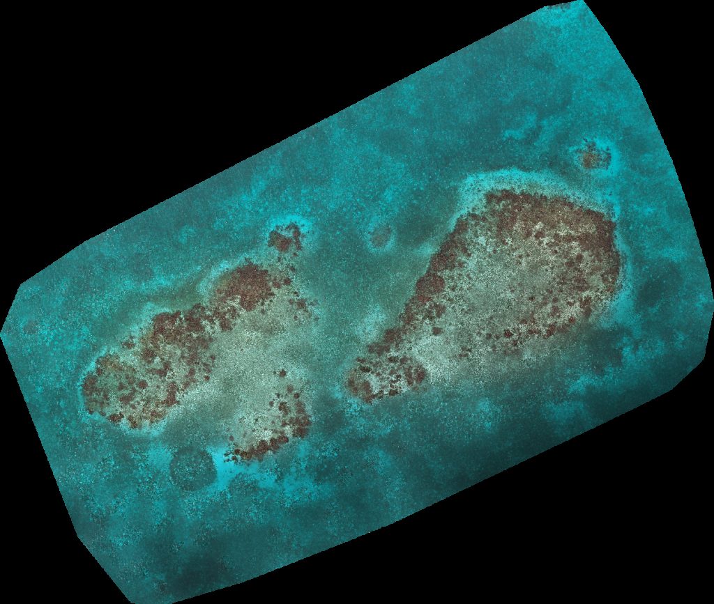 Glover s Reef Research Station Middle Caye