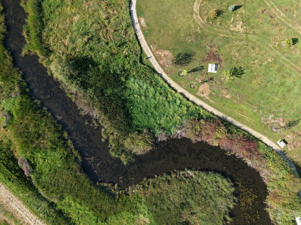 Thomson Marsh Park Stewardship Area