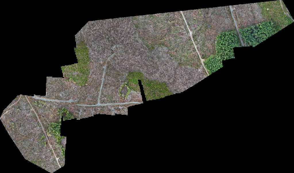 rhododendron lake Englishman River Falls