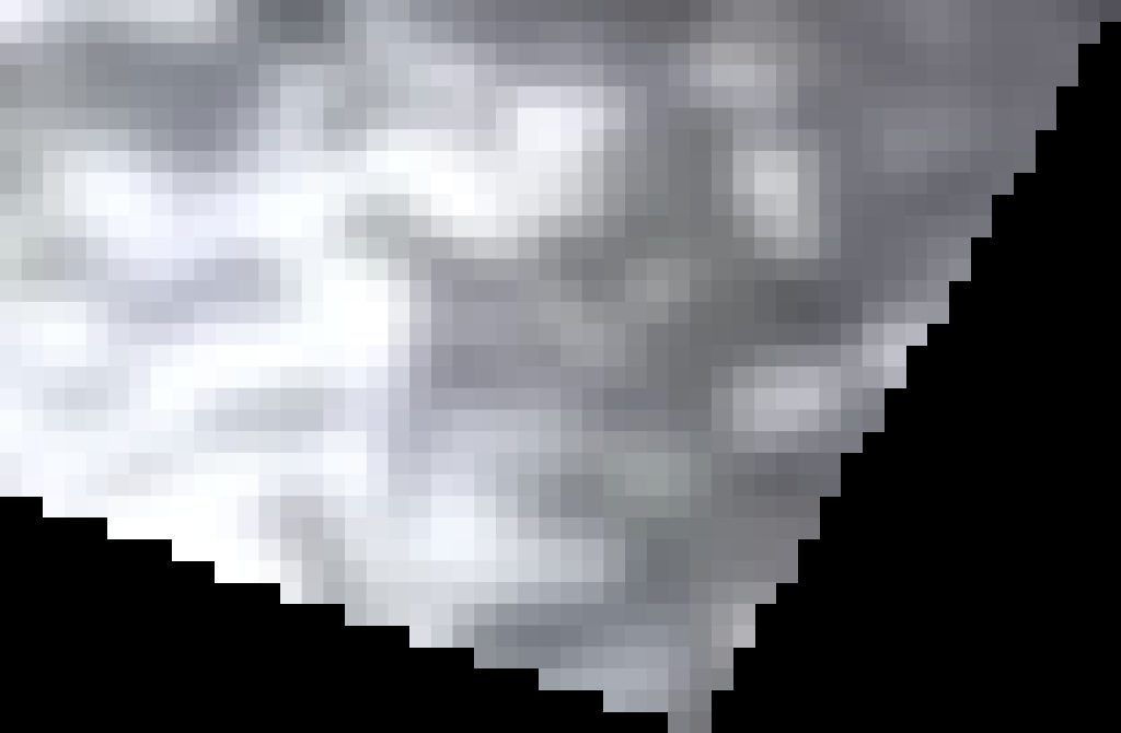 Riding Club Hammock Ranch