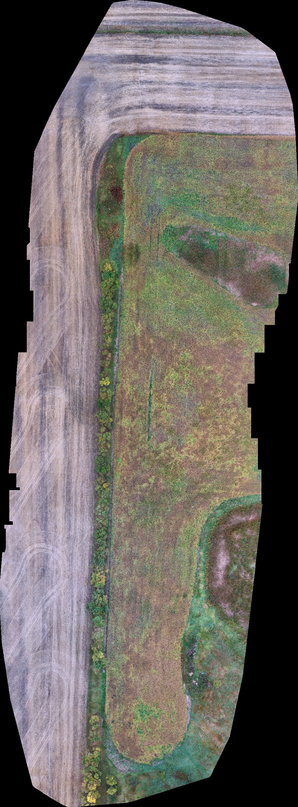 Claeyson Inc Carson schoonbaert farms
