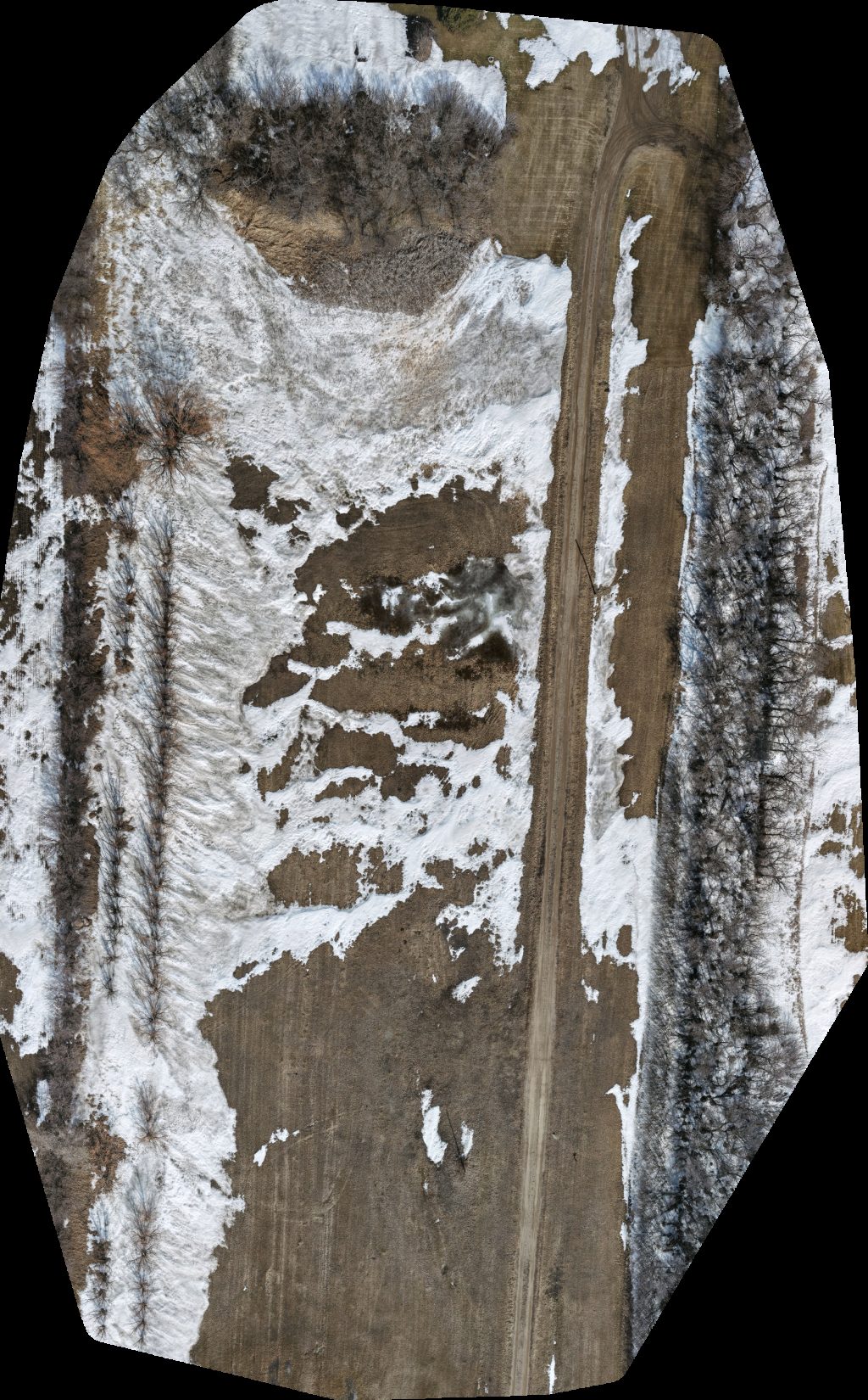 Claeyson Inc Carson schoonbaert farms