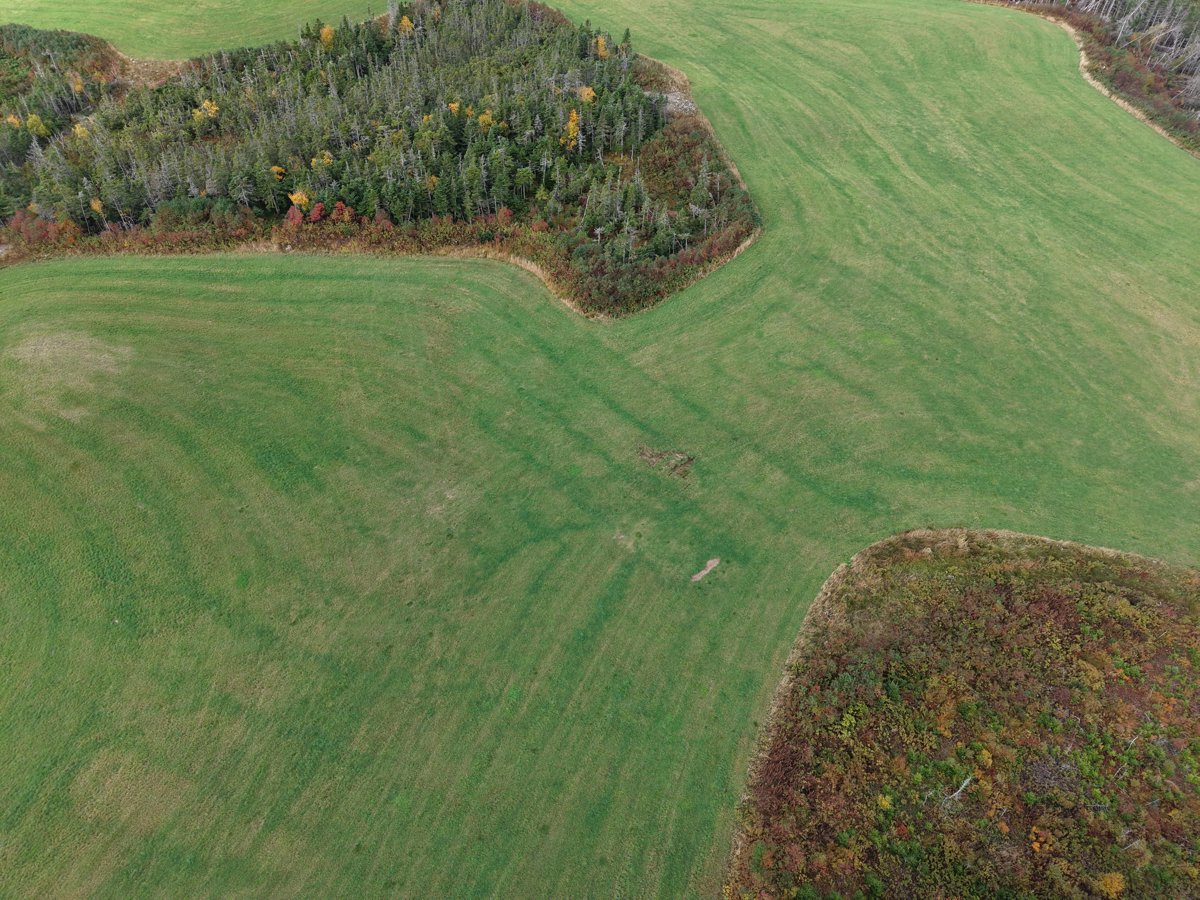 Whelan s Farm Fox ponds