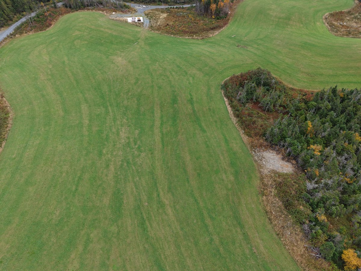 Whelan s Farm Fox ponds