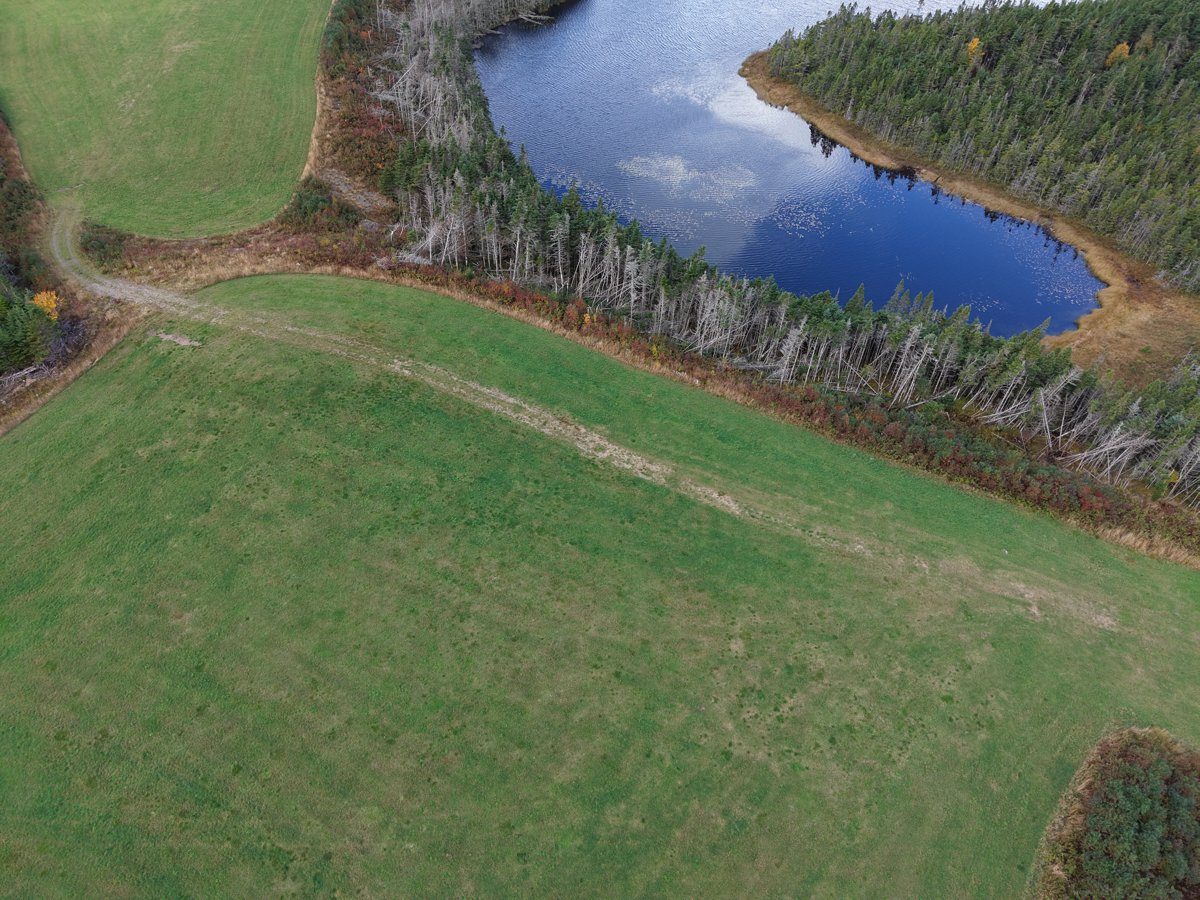 Whelan s Farm Fox ponds