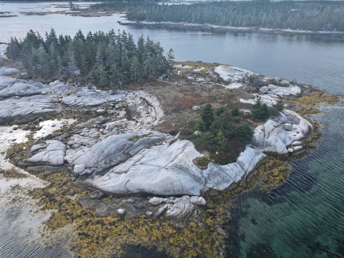 Boat Dock Euros Standard