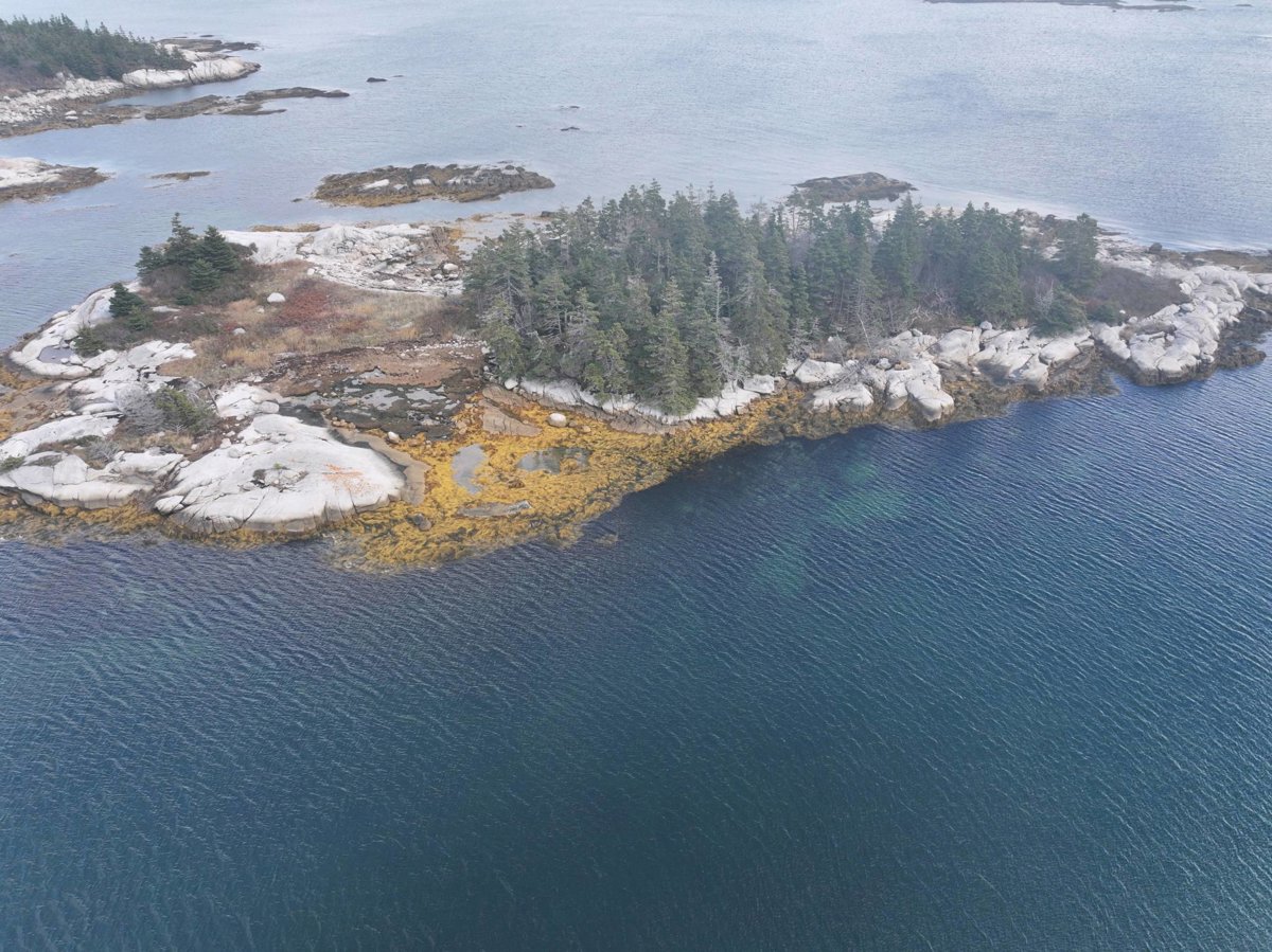 Boat Dock Euros Standard