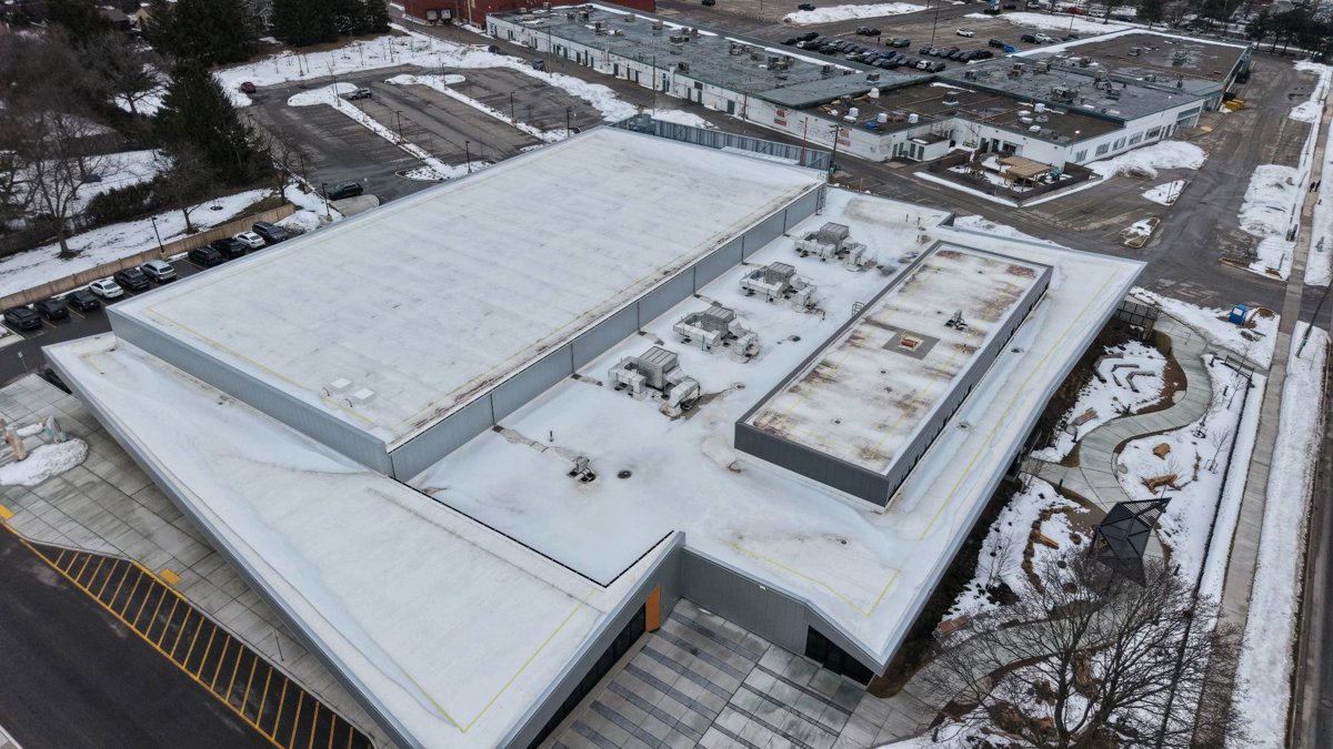 Skyway Park The Bug Terminator