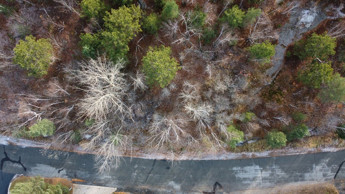 CKM Styling Early Childhood Educators Qualifications Program