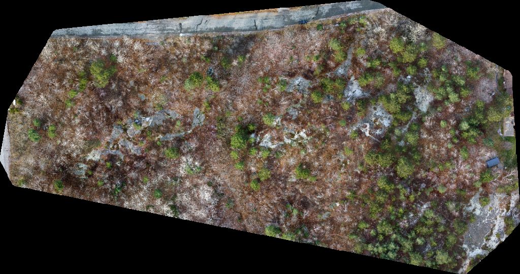 Early Childhood Educators Qualifications Program Infant Development