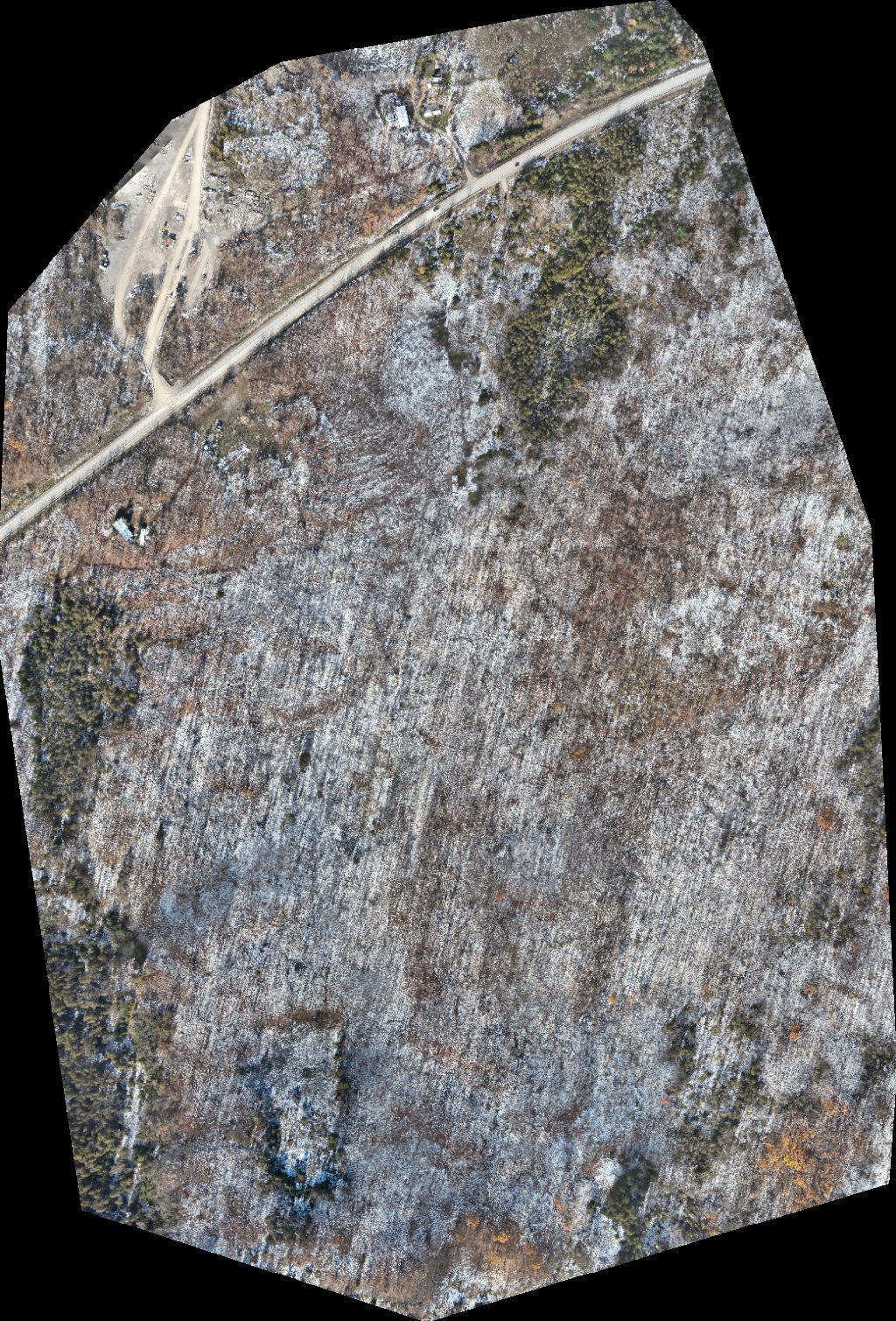 Pluard Sons Quarry Platinum Natural Stone