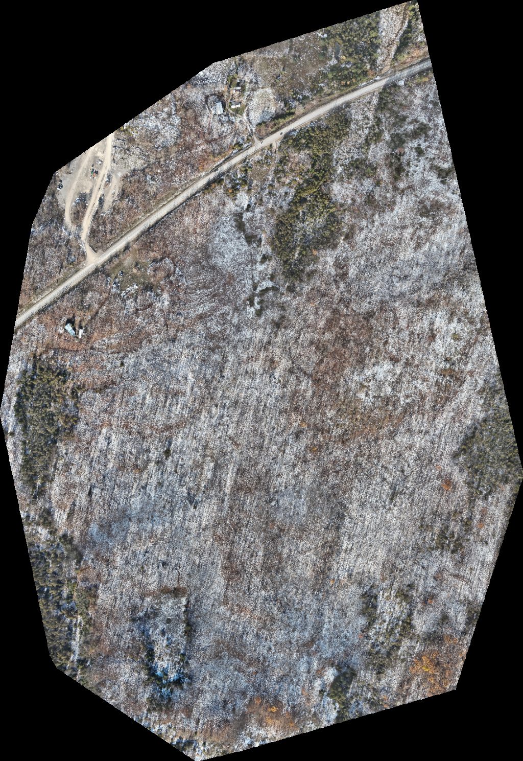 Pluard Sons Quarry Platinum Natural Stone