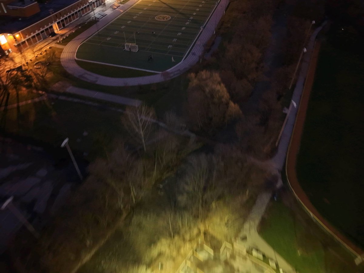Tom Riley Park Tennis Courts Royal York Baseball