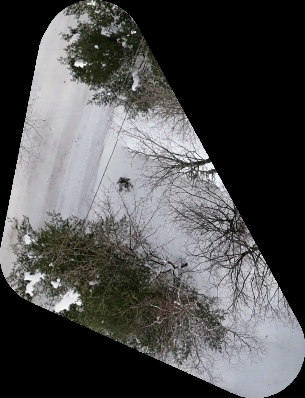 AI Mate Suite Bobino