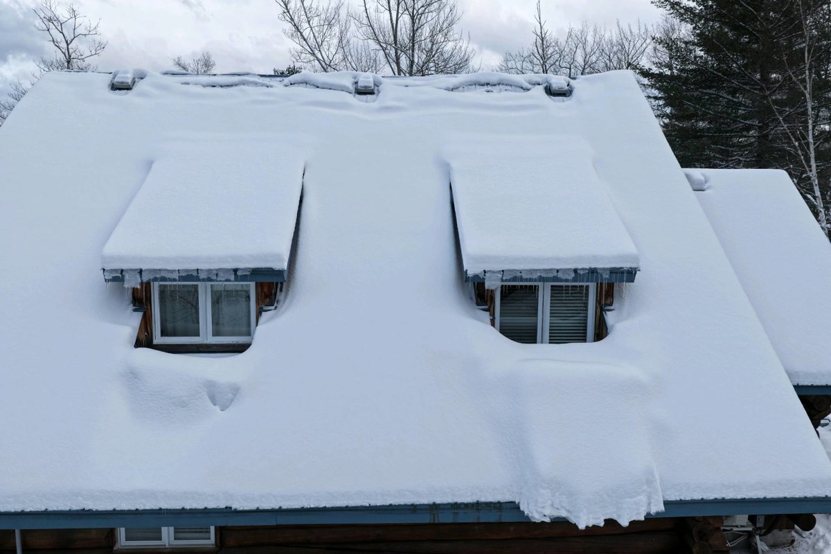 Notre dame du laus Centre De Svc Campion