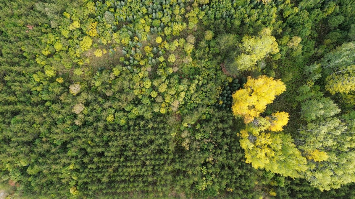 Ferme veaux fruits senc Villa Des Plants Enrg