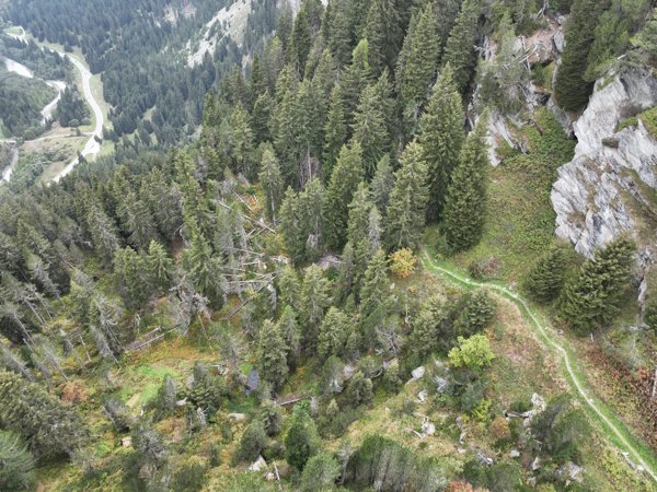 Turm Belvedere Maloja Bosch