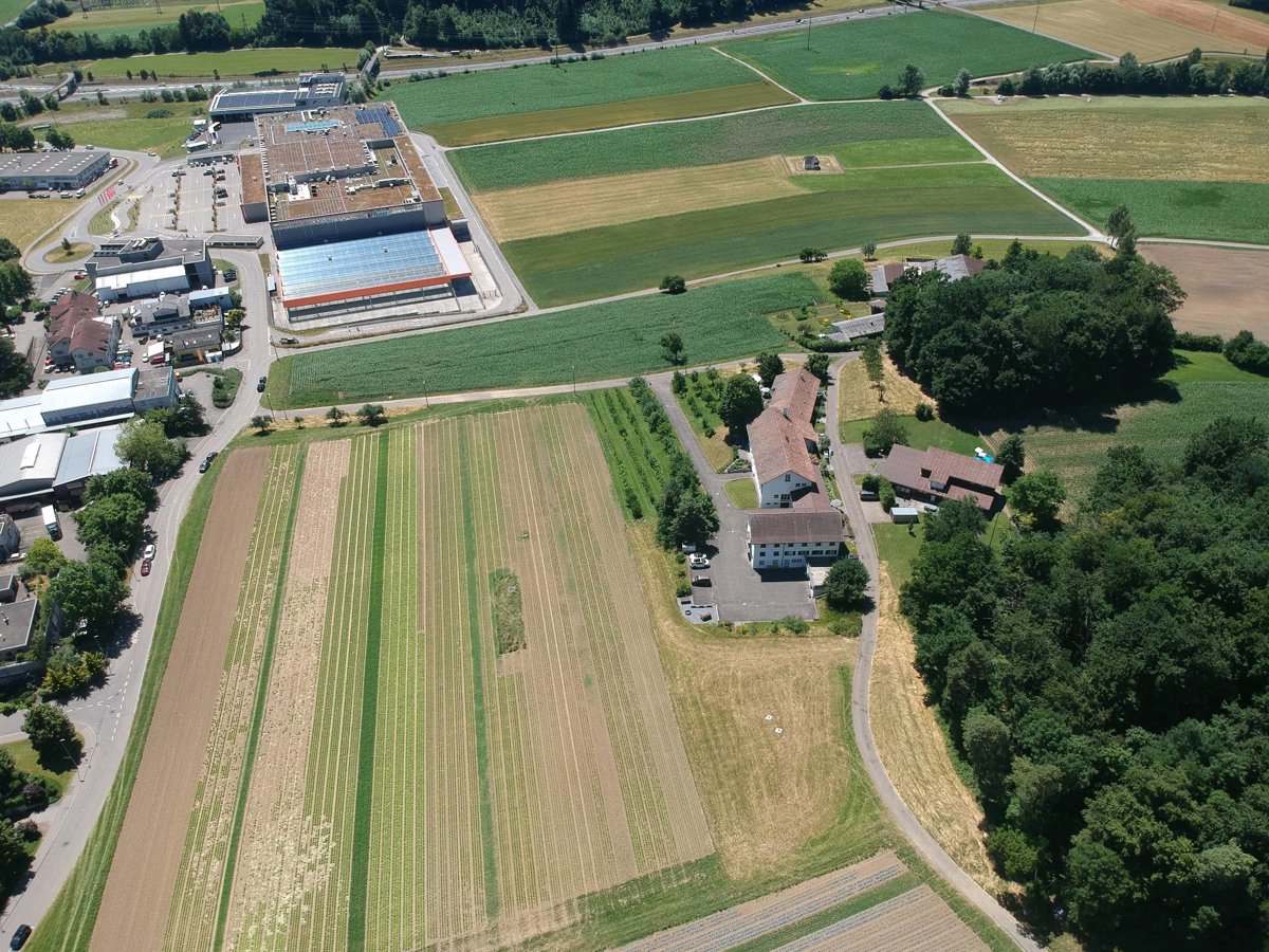 ImmoTech Service Baum