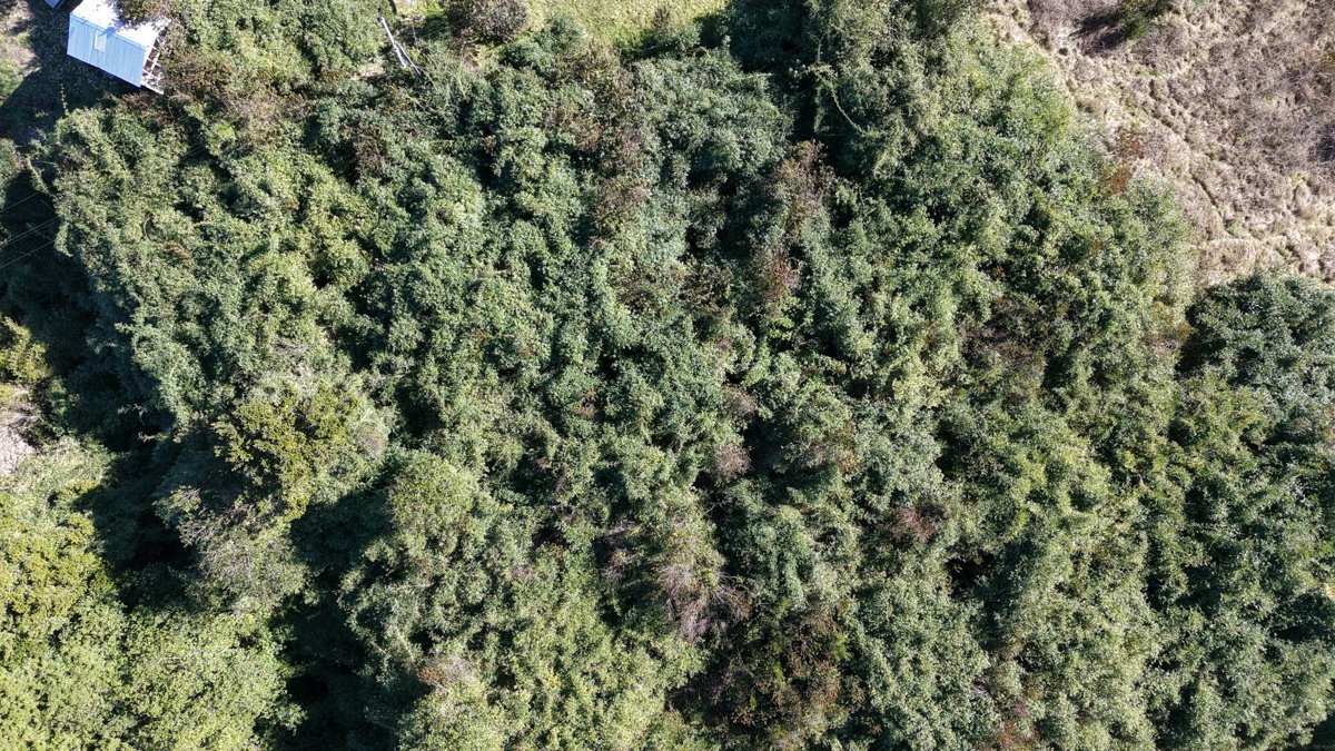 Casa entre volcanes sustentable Ensenada Rio Petrohue Parcela 13B