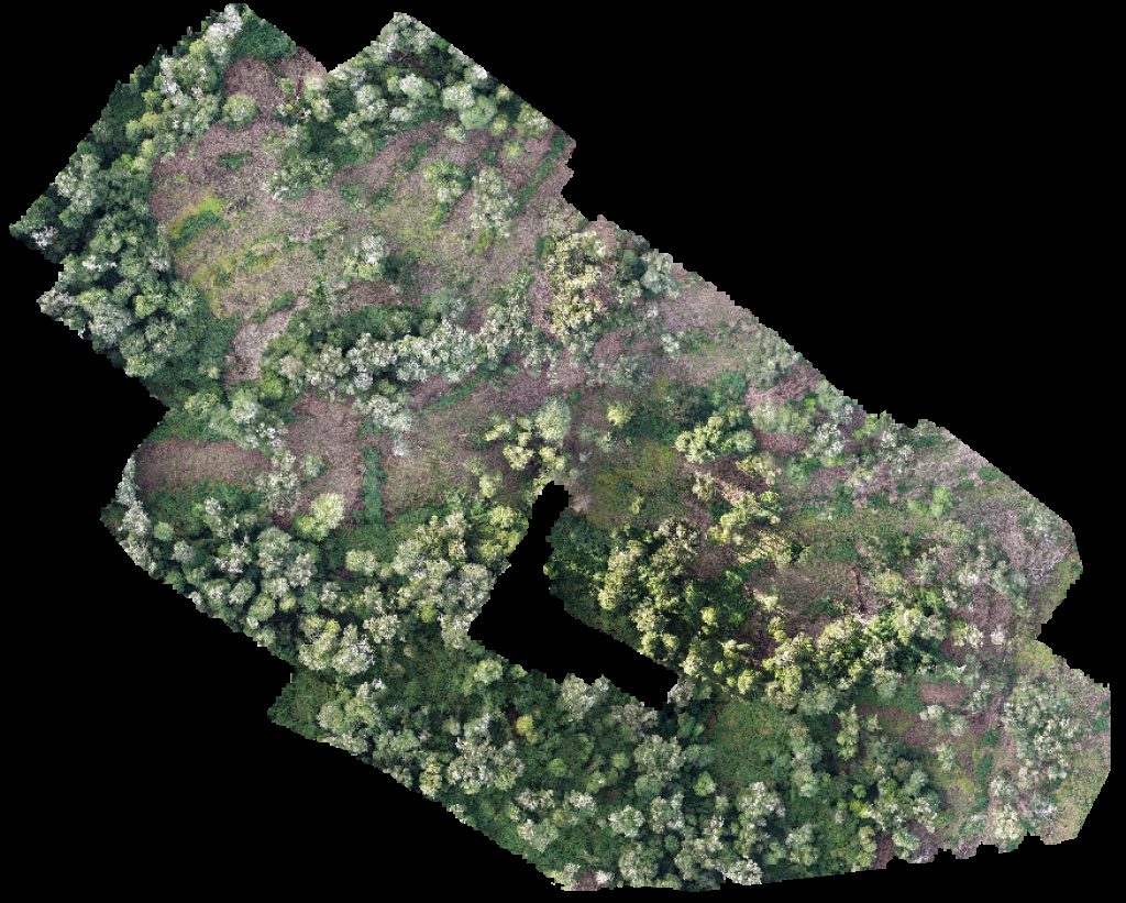 PREDIO RUCATAYO fundo boquial