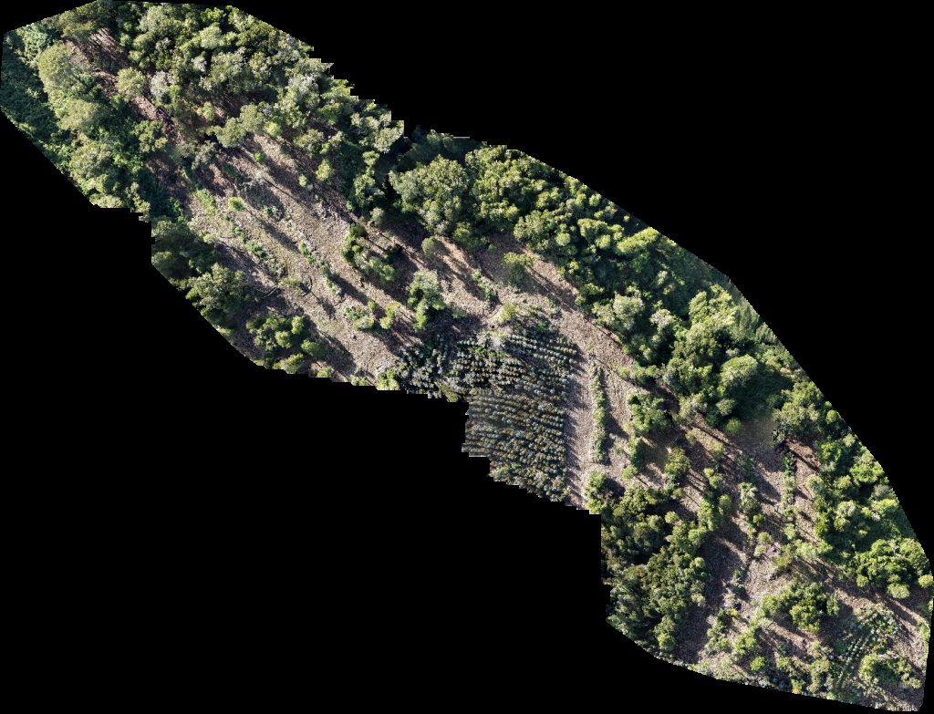 PREDIO RUCATAYO fundo boquial