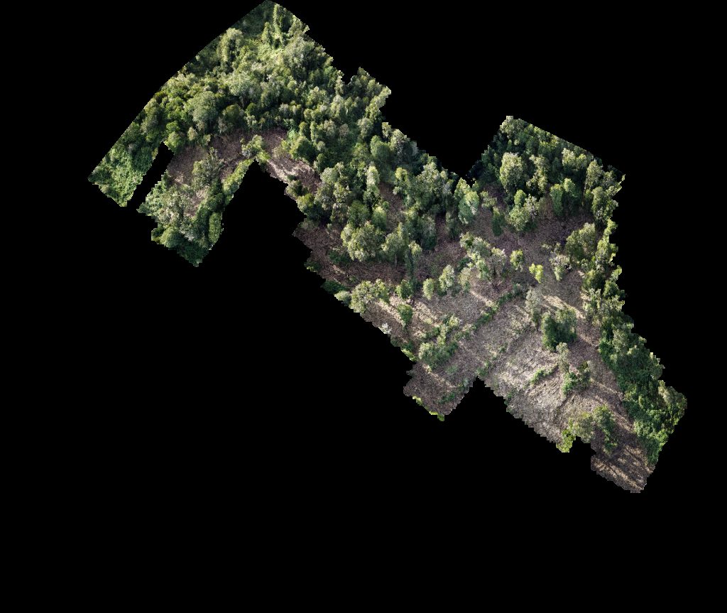 PREDIO RUCATAYO fundo boquial