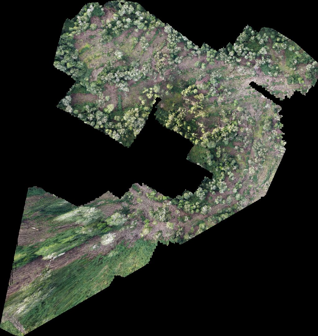 PREDIO RUCATAYO fundo boquial