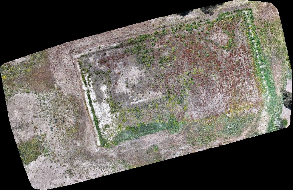 Automotriz Kaufmann Streat Burger