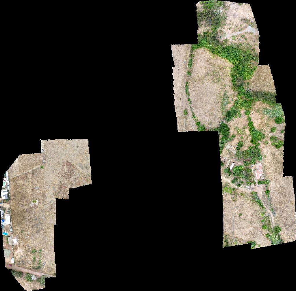 PMGD RIMINI Catalán y Echeverría