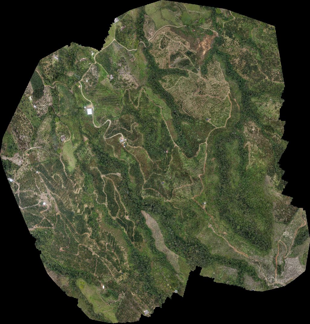 Finca La Divisa el calvario